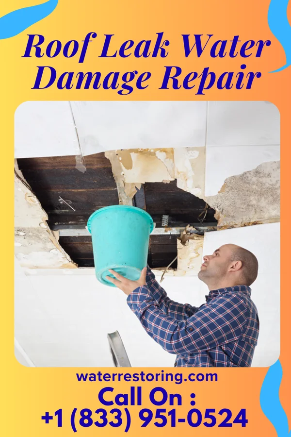 Roof Leak Water Damage Repair in Ward, AR